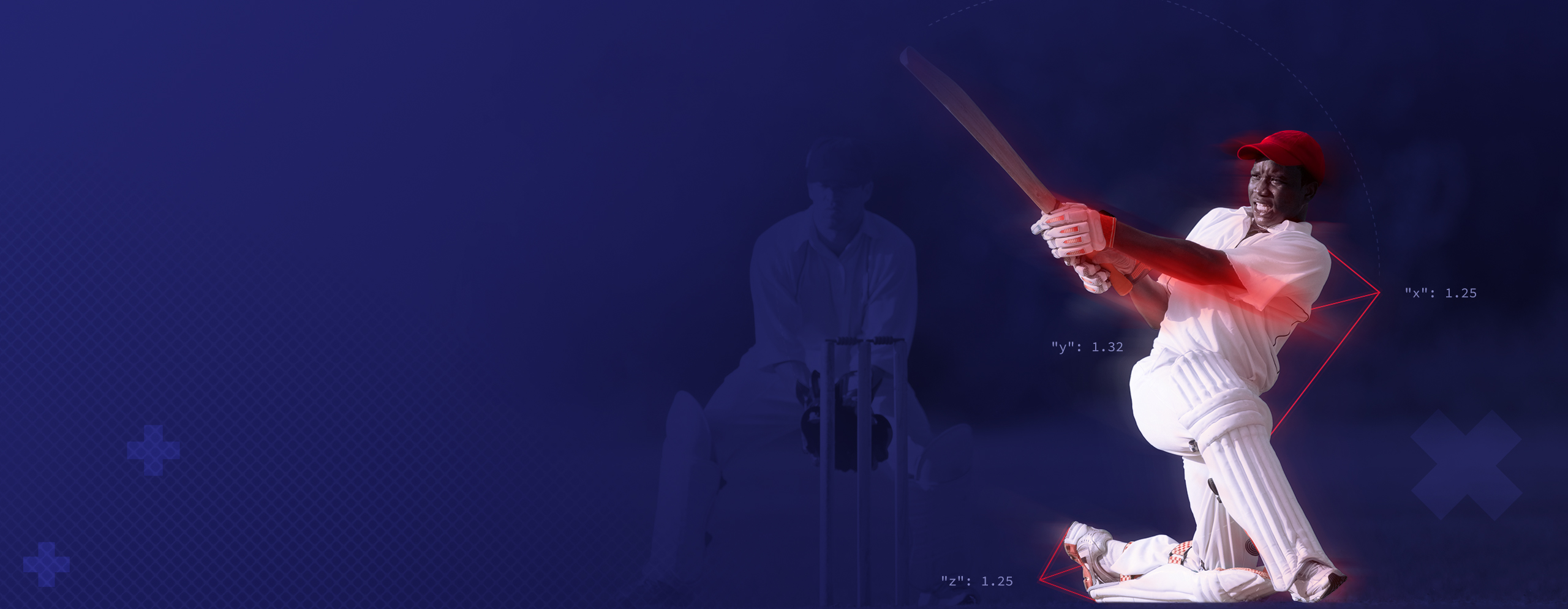 InteractSport Decorative cricket header