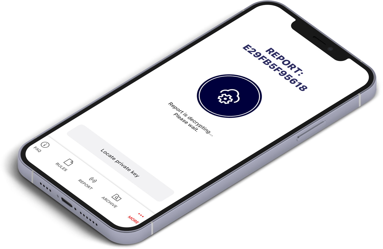 Integrity Reporting APP decorative iPhone visual
