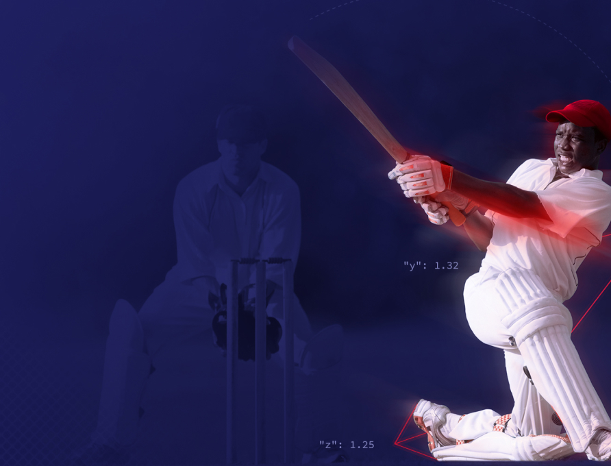 Google Cricket Juego Online - Marketing Branding